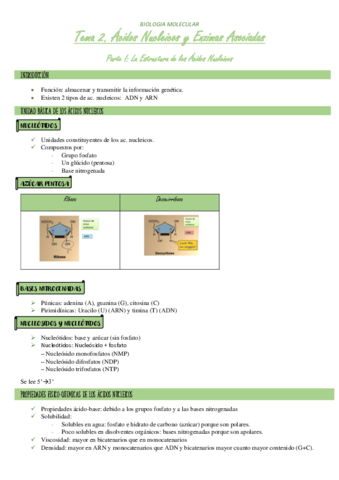 TEMA-2.pdf