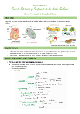 TEMA-3.pdf