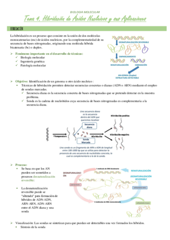 TEMA-4.pdf