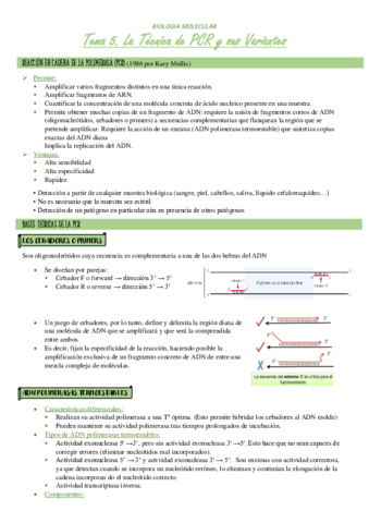 TEMA5.pdf