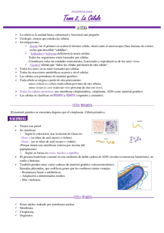 FISIOPATOLOGIA-TEMA-2-1.pdf