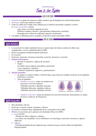 TEMA-3-FISIOPATOLOGIA.pdf