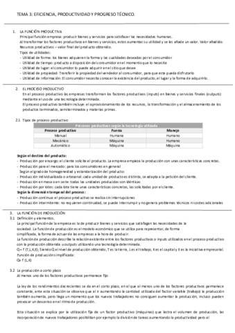 TEMA-3-Eficiencia-productividad-y-progreso-tecnologico.pdf