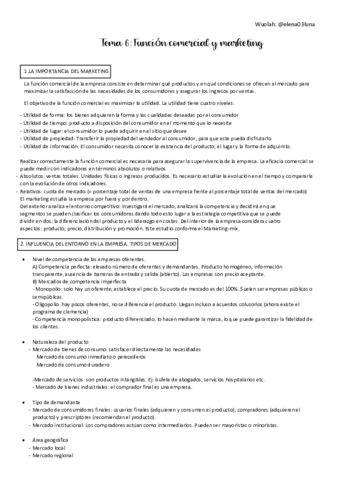 TEMA-6-Funcion-comercial-y-marketing.pdf