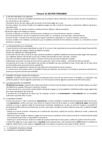 TEMA-6-Sector-terciario.pdf