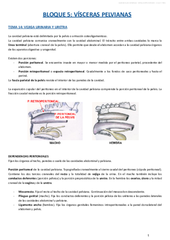 BLOQUE-V.pdf