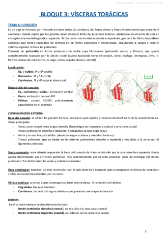 BLOQUE-III.pdf