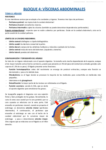 BLOQUE-IV-.pdf