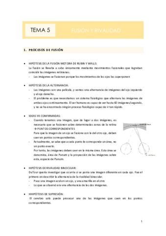 TEMA-5FUSION-Y-RIVALIDAD.pdf