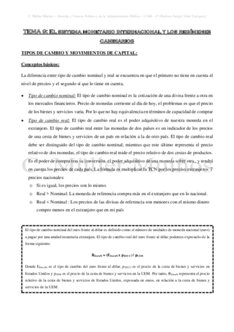 TEMA-9-El-sistema-monetario-internacional-y-los-regimenes-cambiarios.pdf