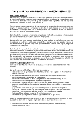 TEMA-6-IDENTIFICACION-Y-VALORACION-DE-IMPACTOS.pdf