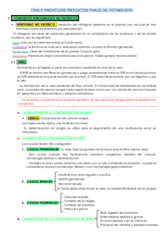 TEMA-4-bioquimica.pdf