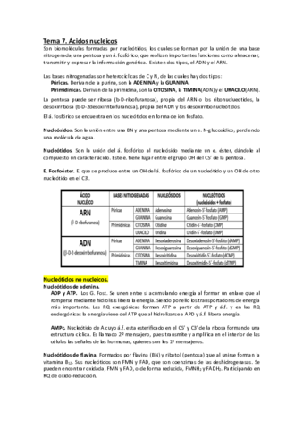 Tema-7.pdf