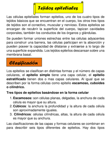 tejidos-epiteliales-.pdf