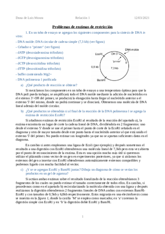 Duna-de-Luis-Moura-Relacion-de-problemas-enzimas-restriccion.pdf
