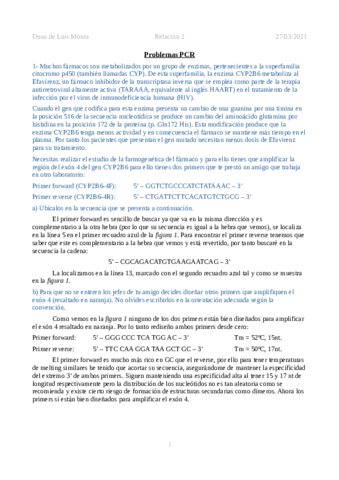 Duna-de-Luis-Moura-Problemas-PCR.pdf