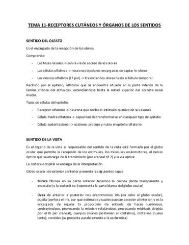 Tema-11-ANATOMIA-receptores-cutaneo-y-organos-de-los-sentidos.pdf