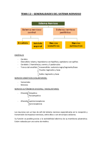 Tema-12-ANATOMIA-generalidades-sistema-nervioso.pdf