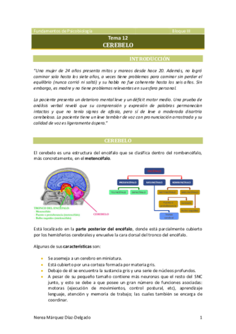 Tema-12-Cerebelo.pdf
