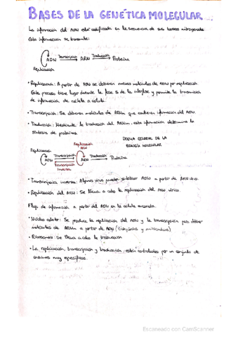 Genetica-molecular.pdf