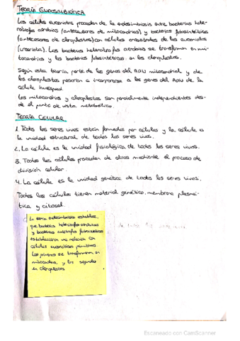 Bloque-organulos.pdf