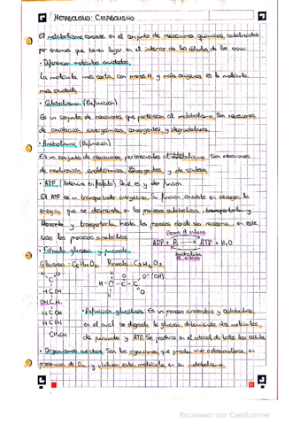 Bloque-catabolismo-y-anabolismo.pdf