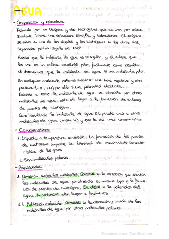 Bioquimica-2-Bach.pdf