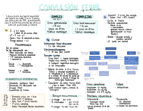 Convulsion-febril.pdf