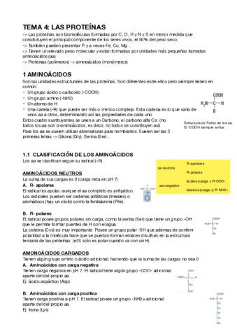 LAS-PROTEINAS.pdf