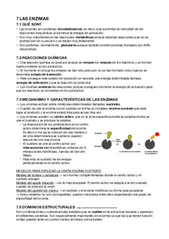 ENZIMAS-proteinas.pdf