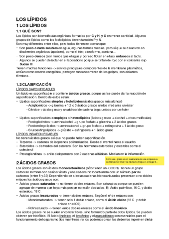 LOS-LIPIDOS.pdf