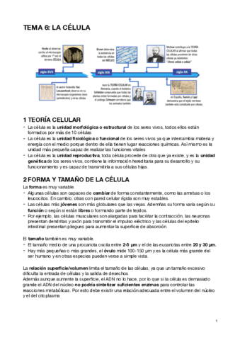 LA-CELULA.pdf