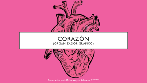 Organizador-Grafico-Corazon.pdf