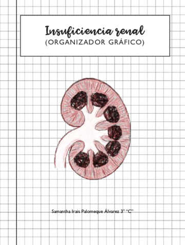 Organizador-Grafico-Insuficiencia-Renal.pdf