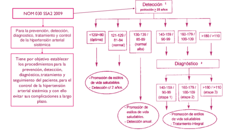 NOM-030-SSA2-2009.pdf