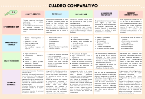 Cuadro-comparativo-microbiologia.pdf