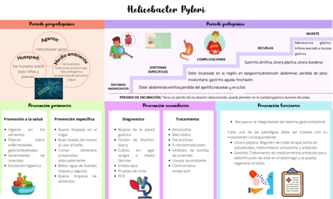 Historia-natural-H.pdf