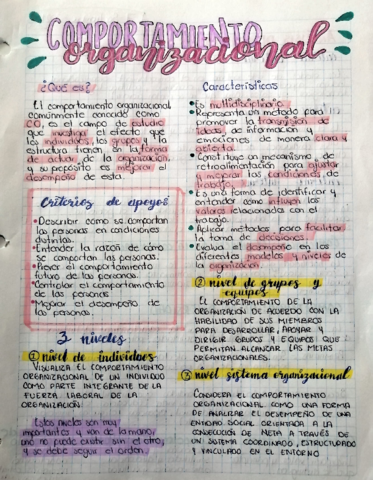 Comportamiento-Organizacional.pdf