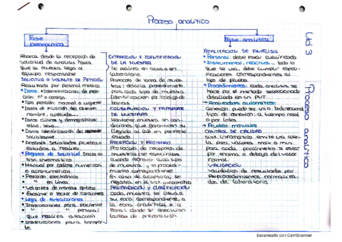 T3-esquema-proceso-analitico.pdf