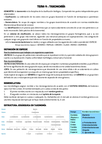 TEMA-9-micro-.pdf