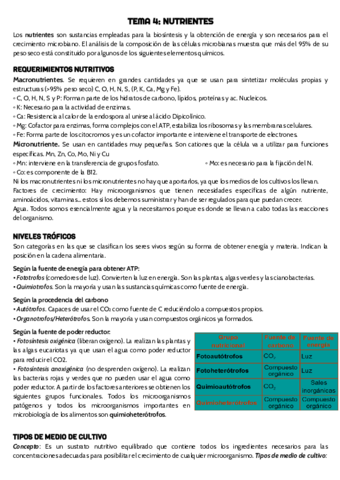 TEMA-4-micro-.pdf