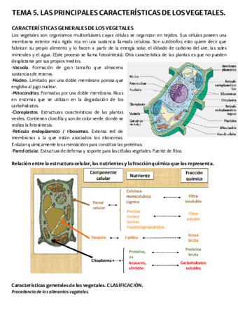 TEMA-5.pdf