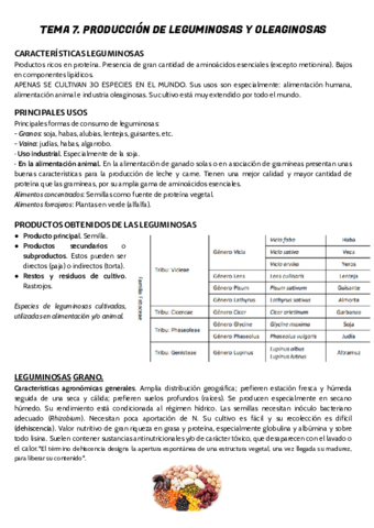 TEMA-7.pdf