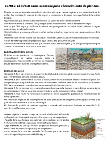 TEMA-3.pdf