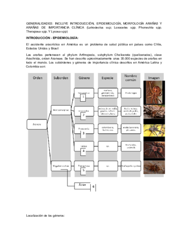 Accidente-aracnido-1.pdf