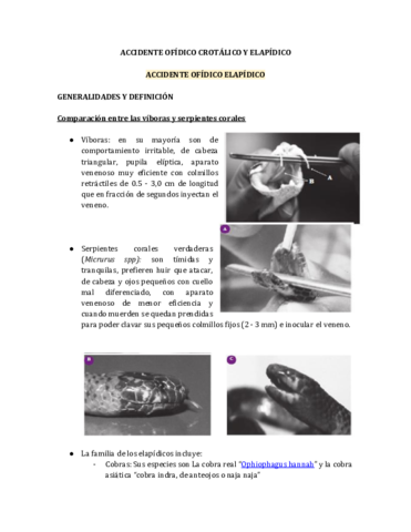 INTRODUCCION-ACCIDENTE-OFIDICO-CROTALICO-Y-ELAPIDICO.pdf