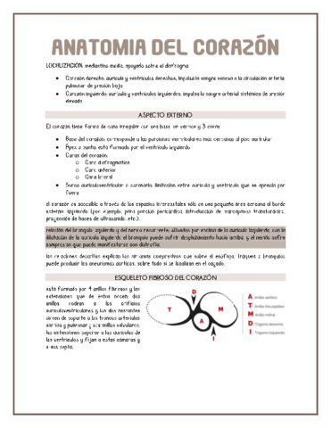 anatomia-del-corazon.pdf