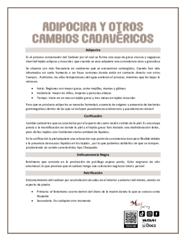Adipocira-y-otros-cambios-Cadavericos.pdf