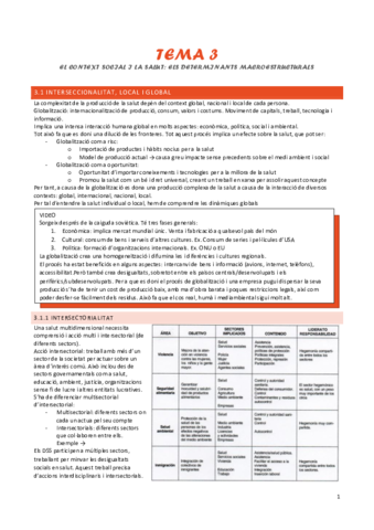 tema-3-determinants-macroestructurals.pdf
