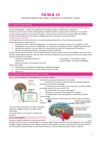 tema-13-processos-cognitius-salut-i-malaltia-II.pdf